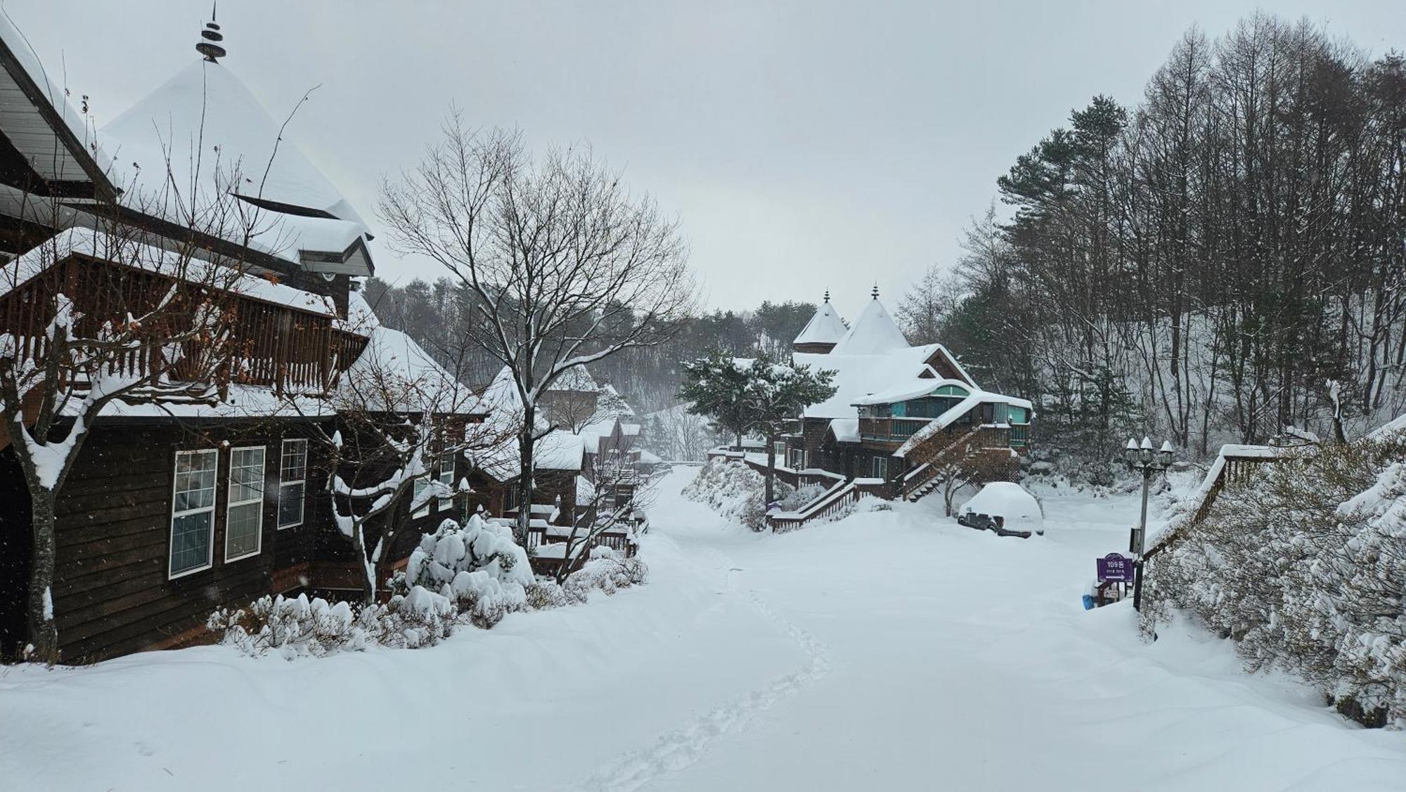 Elf Resort Hotel Pyeongchang Eksteriør bilde