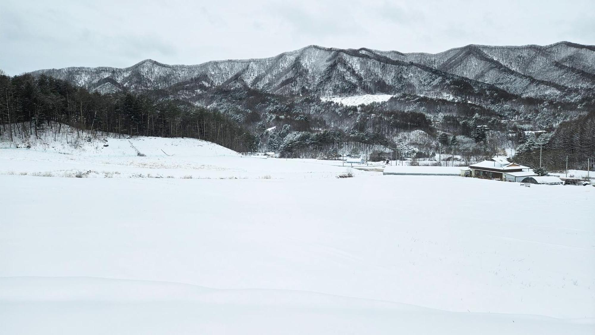 Elf Resort Hotel Pyeongchang Eksteriør bilde