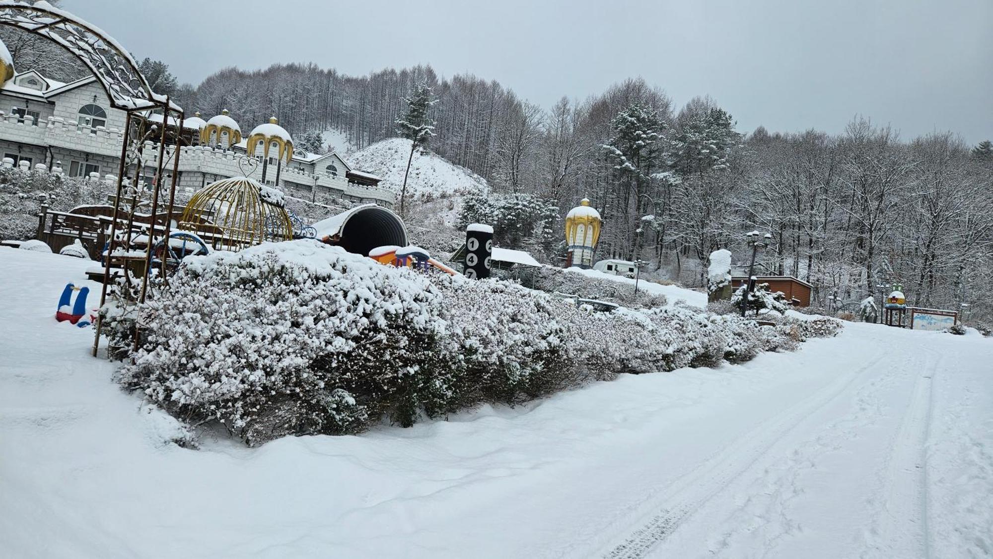 Elf Resort Hotel Pyeongchang Eksteriør bilde